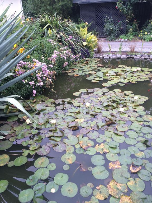 Bed and Breakfast Water Lily Garden Christchurch Zewnętrze zdjęcie