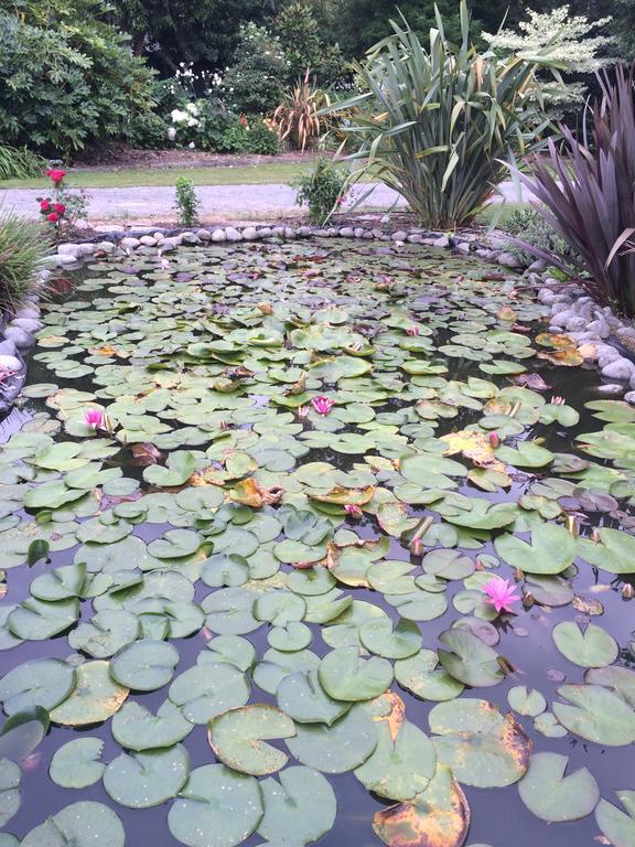 Bed and Breakfast Water Lily Garden Christchurch Zewnętrze zdjęcie